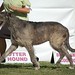 Steven Strohm Photo 20