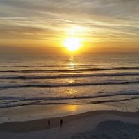 Lori Dinardo Photo 1