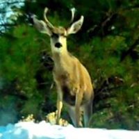 Christopher Breedlove Photo 6