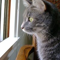 Oscar Olson Photo 3