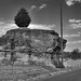 Scott Chaffee Photo 28