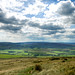 Dale Newby Photo 28