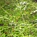Carolyn Weed Photo 22