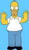 Homer Simpson Photo 19