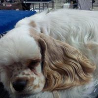 Peggy Horvath Photo 4