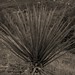 Timothy Flora Photo 31