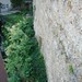 Peter Trapp Photo 30