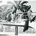 Stan Thompson Photo 43