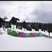 William Stepp Photo 31