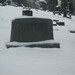 Nellie Hill Photo 33