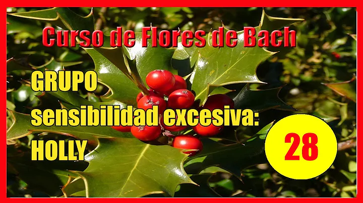 Holly Flores Photo 23