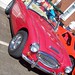 Steve Healey Photo 38