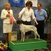Kellie Campbell Photo 40