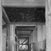 Mario Monteiro Photo 36