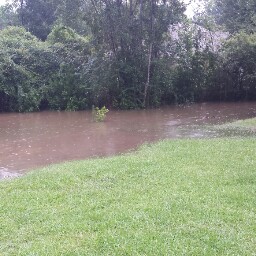 Scotty Lewis Photo 9