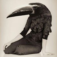 Kerry Gillis Photo 3
