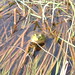 Roger Brooks Photo 47