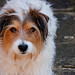 Lorna Russell Photo 39