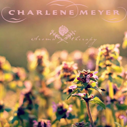 Charlene Meyer Photo 9