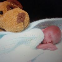 Elizabeth Hinton Photo 8