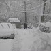 Gary Elkins Photo 41