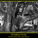 Sabino Rodriguez Photo 32