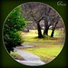 Patricia Gates Photo 37
