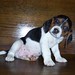 Lisa Hicks Photo 46