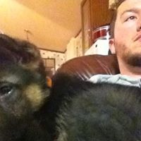 Tyler Dodge Photo 7