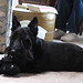 Scottie Bailey Photo 35