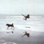 Kevin Schmitt Photo 28