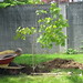 Larry Maples Photo 34