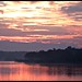 Dawn Livingston Photo 36