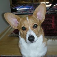 Nancy Pruden Photo 2