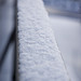 Jan Slee Photo 13