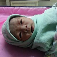 Julie Oh Photo 8