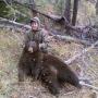 Wayne Mccune Photo 11
