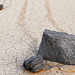 Ann Agnew Photo 22