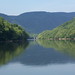 Terry Mccreery Photo 19