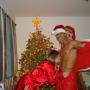 Frank Maresca Photo 22