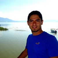 Noe Vera Photo 4