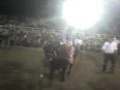 Rey Campuzano Photo 8