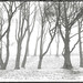 Russell Ring Photo 20