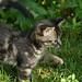 Sally Blake Photo 34
