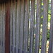 Richard Gates Photo 47