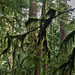 Douglas Groves Photo 27