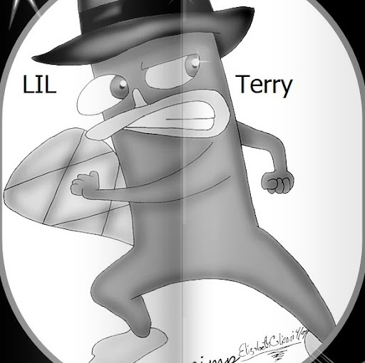 Terry Simmons Photo 15
