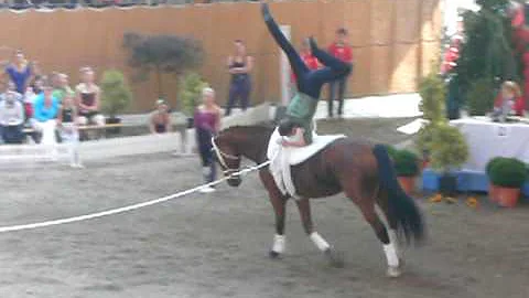 Michael Stalder Photo 19