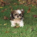 Frances Pastor Photo 15