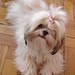 Nora Borges Photo 21